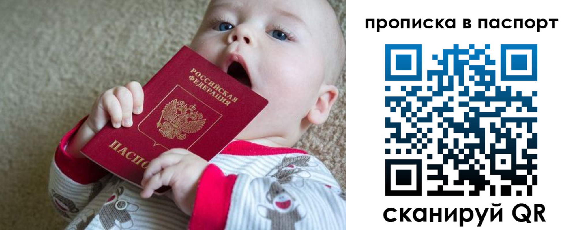 купить прописку в Щёкино